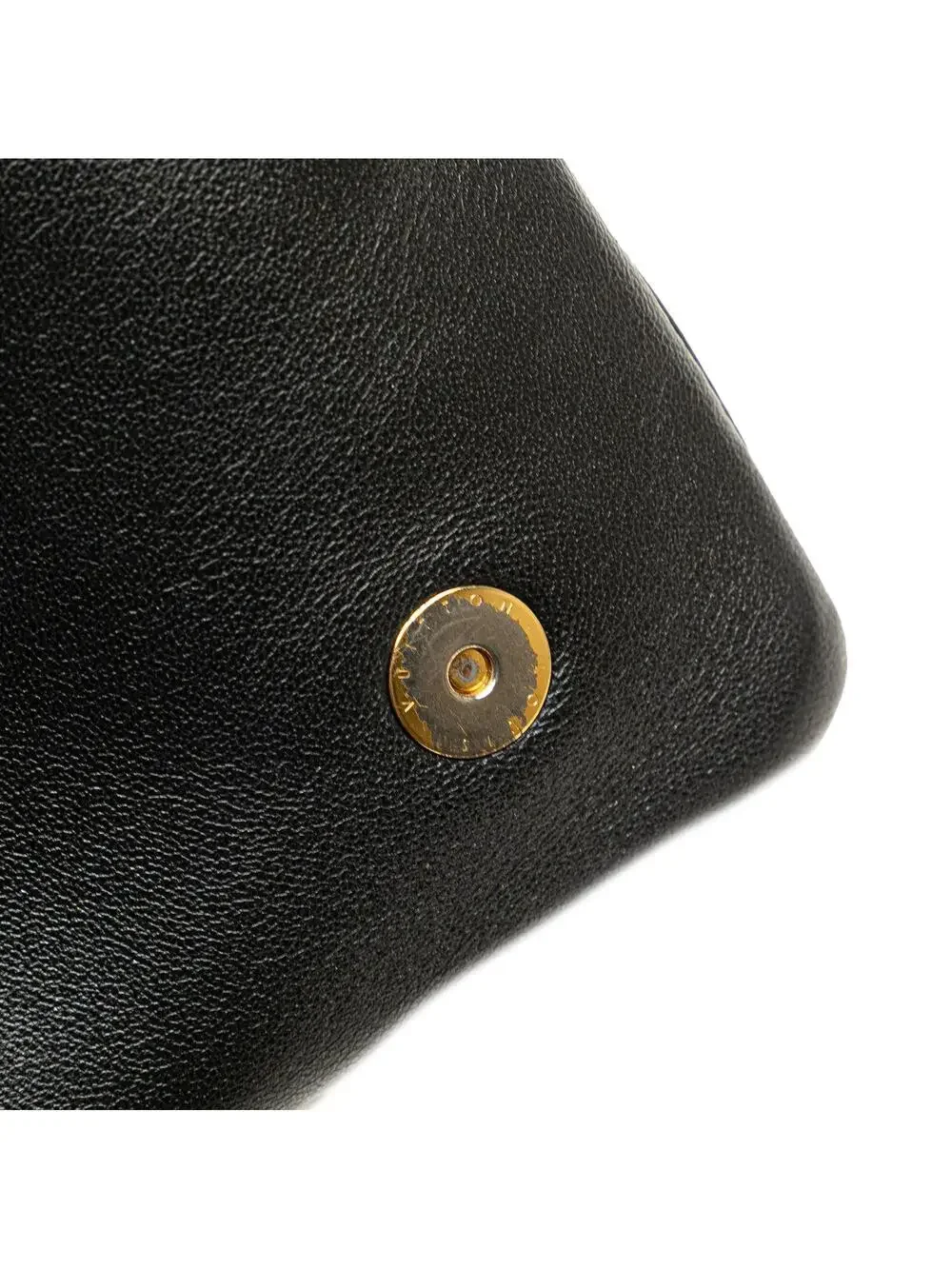 Louis Vuitton introducing louis